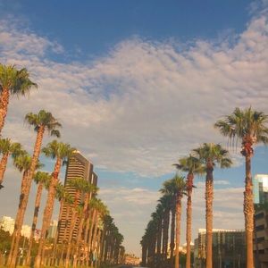 Meet your Posher, Addys